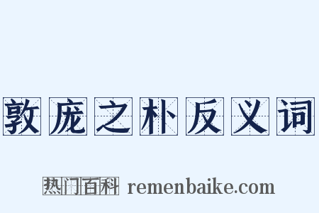 敦庞之朴反义词是什么意思的图片